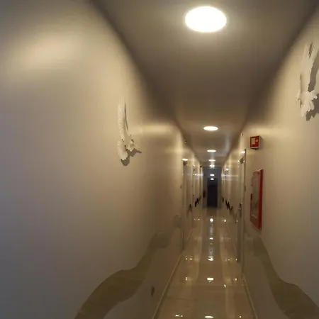 호텔 알렐루이아 3*